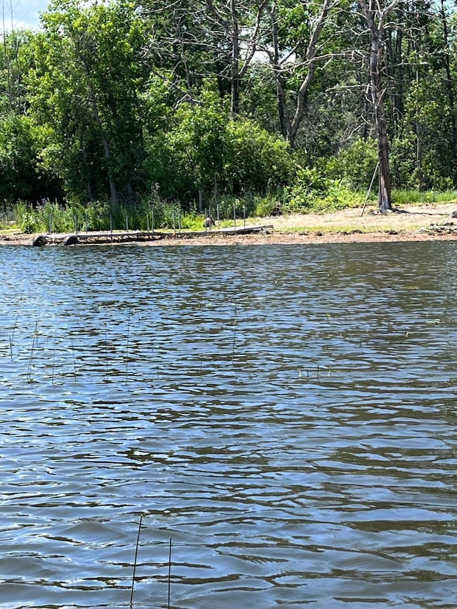 5386 County Hwy N, Oconto, WI 54153 - photo 5