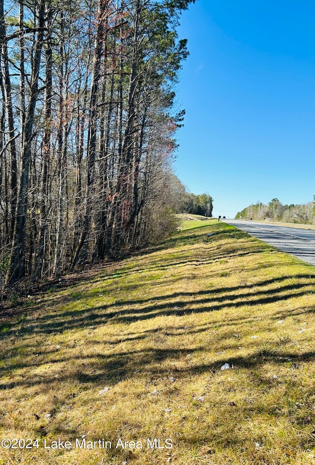 2.64+/- Acres Hwy 280, Sylacauga, AL 35150 - photo 2