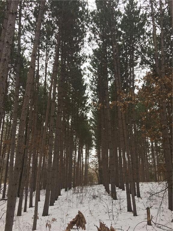 0 Red Pine Trail unit 1528617, Union, WI 54830 - photo 5