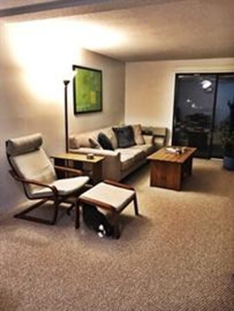 29 Village Rock Ln unit 2, Natick, MA 01760 - photo 3