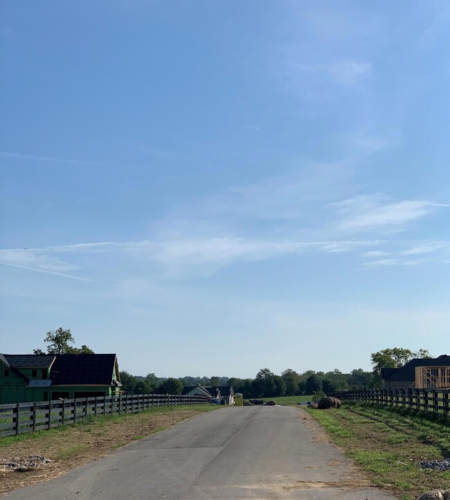 1009 Cade Ct, Wilmore, KY 40390 - photo 3