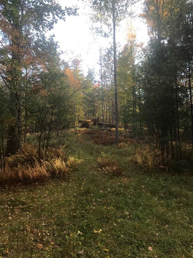 00-B Pinneo Hill Rd, Hanover, NH 03755 - photo 6