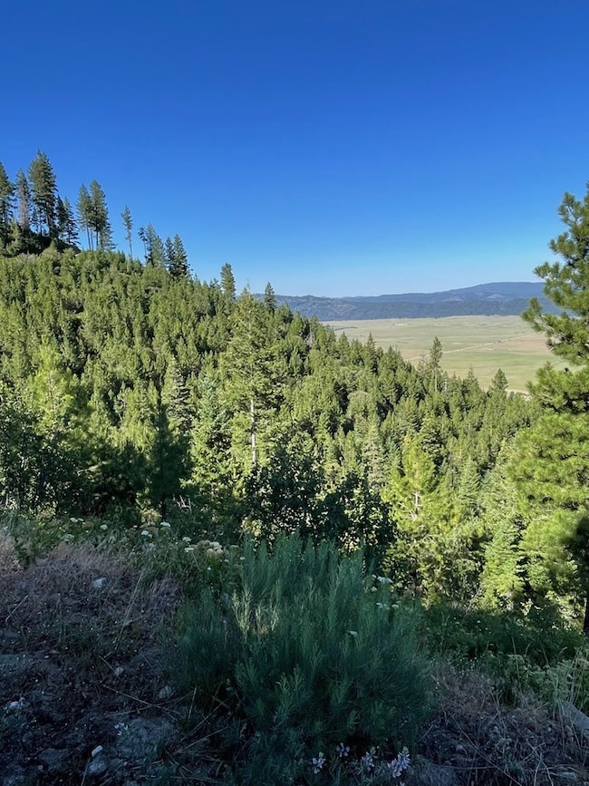 TBD 80 Round Valley Rd, Cascade, ID 83611 - photo 4