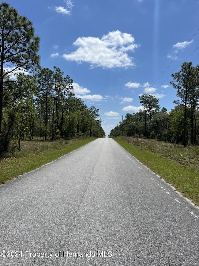 00 NW Amberjack Ave, Dunnellon, FL 34431 - photo 3