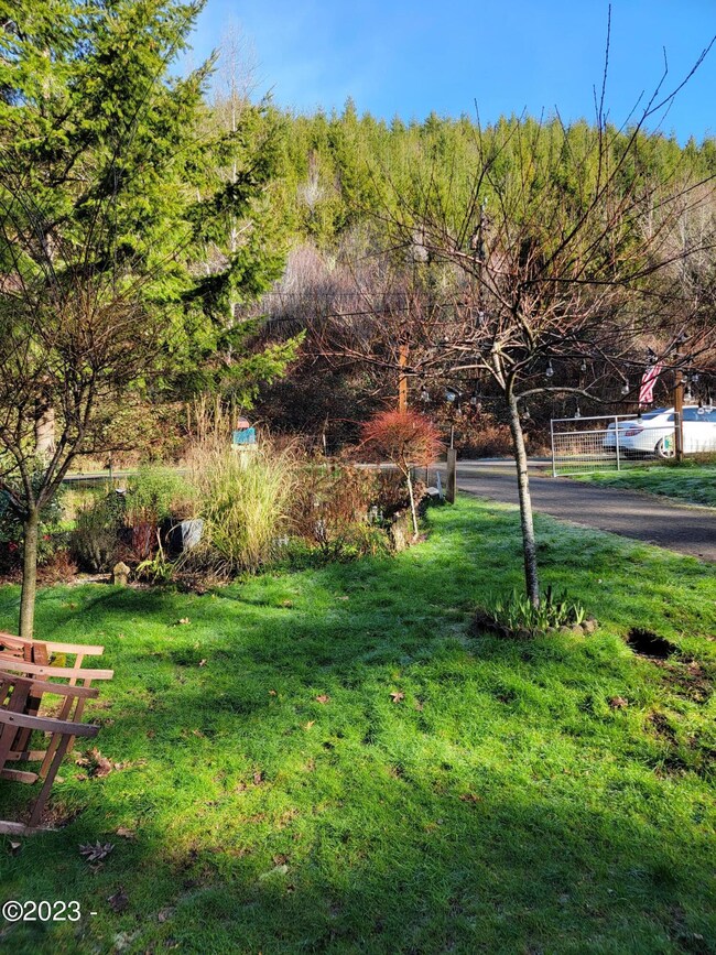 Front lawn