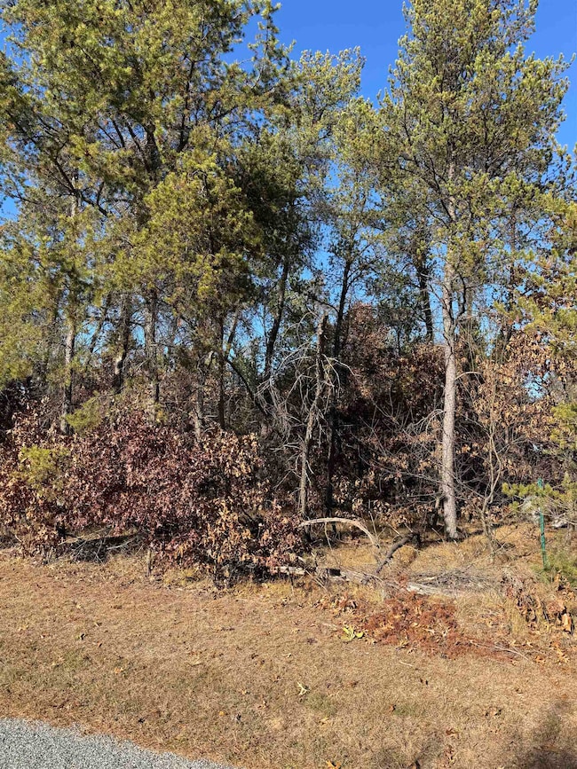 Lot 68 Whistling Wings, New Lisbon, WI 54650 - photo 4