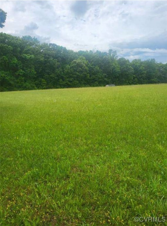 View of yard with a forest view