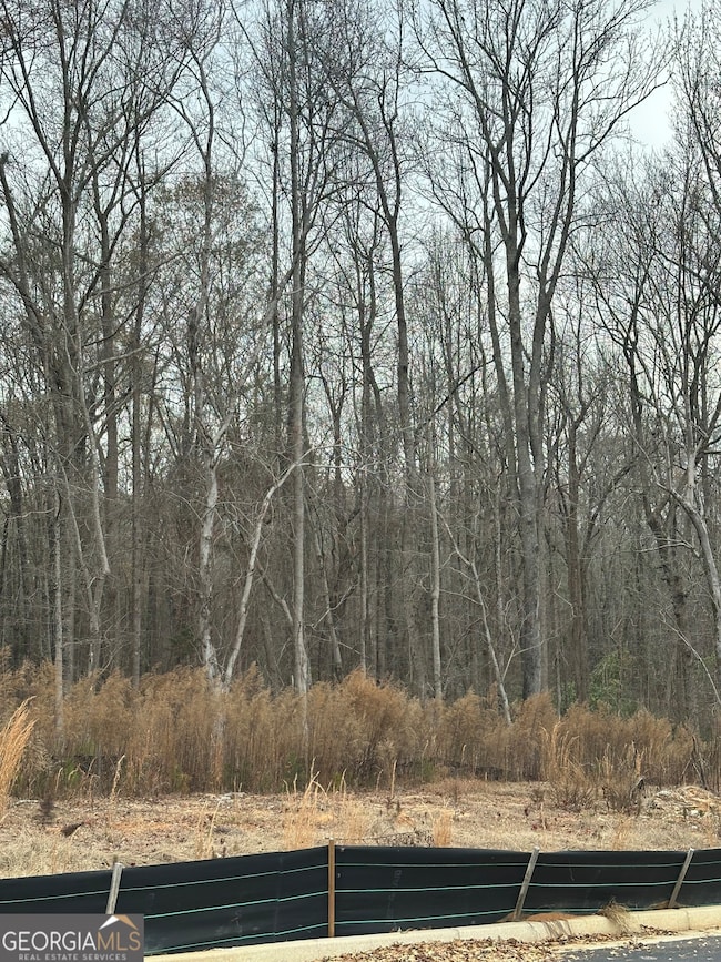 109 Edmondson Way, Stockbridge, GA 30214 - photo 5