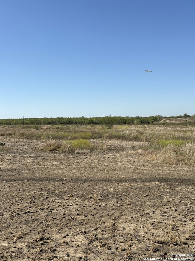 1446 County Road 332, Charlotte, TX 78011 - photo 3