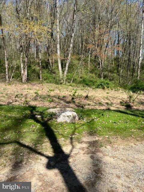 471 Buckhorn Rd, Sykesville, MD 21784 - photo 7