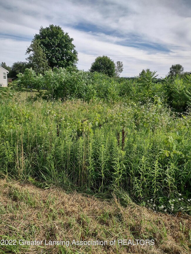 IMG_20220725_174634389_HDR