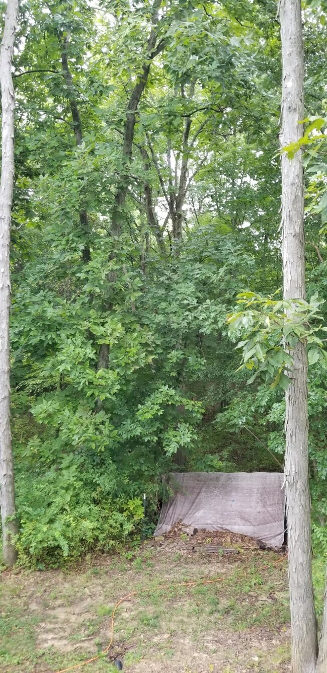 9082 Somerset Rd, Thornville, OH 43076 - photo 3