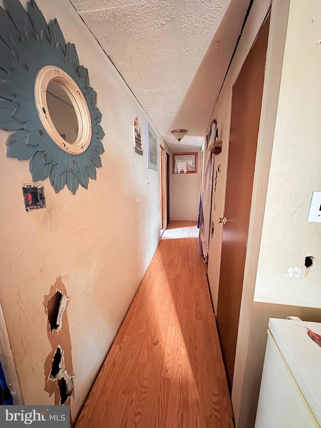 8381 Hurleys Neck Rd, Mardela Springs, MD 21837 - photo 6