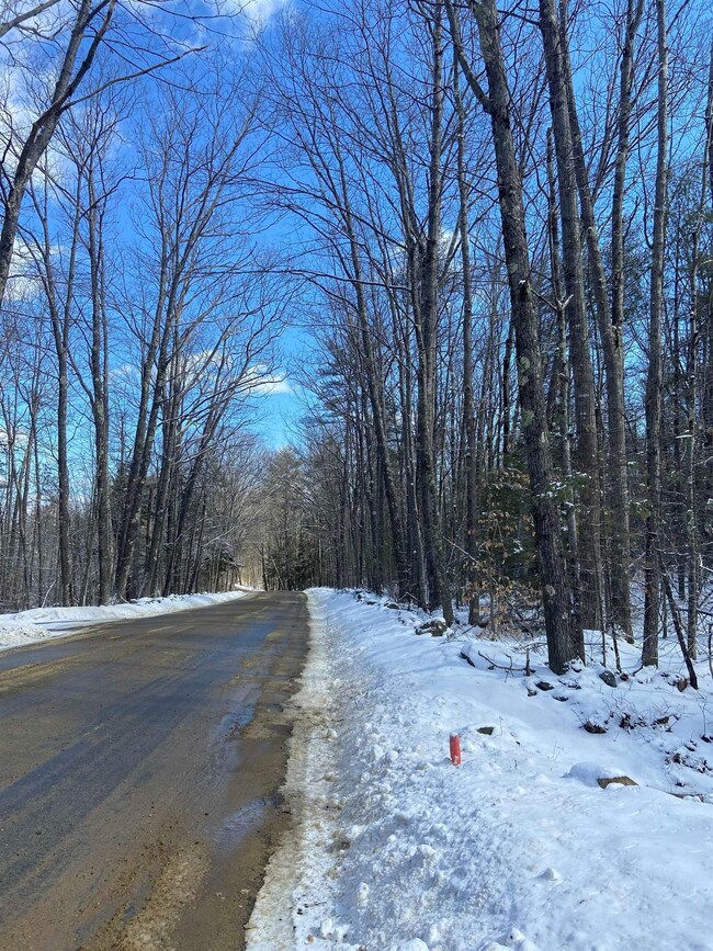 11-2 Parsons Hill Rd unit Map 9 Lot 11-2, Strafford, NH 03884 - photo 2