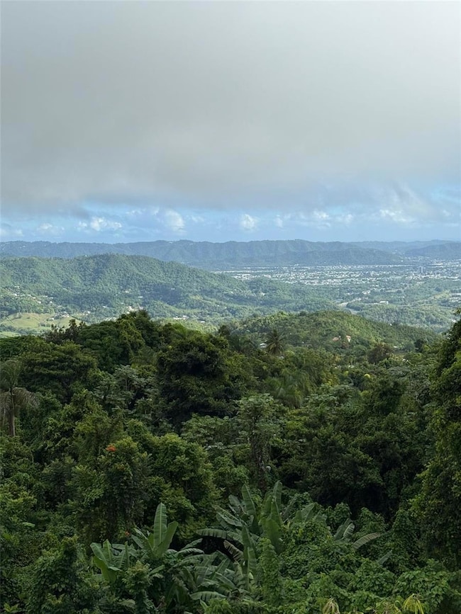 Borinquen Caguas Pr 763, Caguas, PR 00725 - photo 4