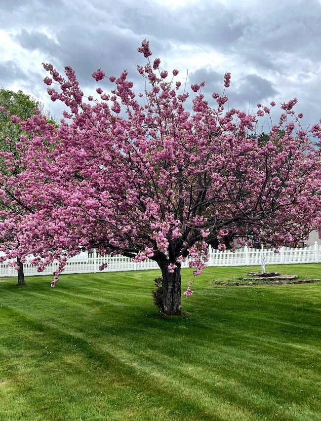 43 Branch Turnpike, Concord, NH 03301 - photo 3