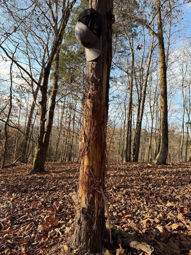 0 Hellsneck Ln unit 25649761, Waverly, TN 37185 - photo 5