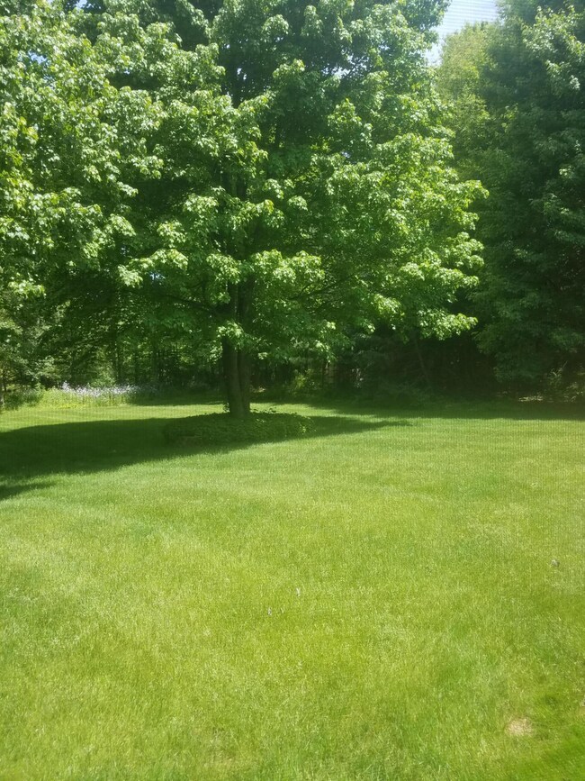 20160531_122711