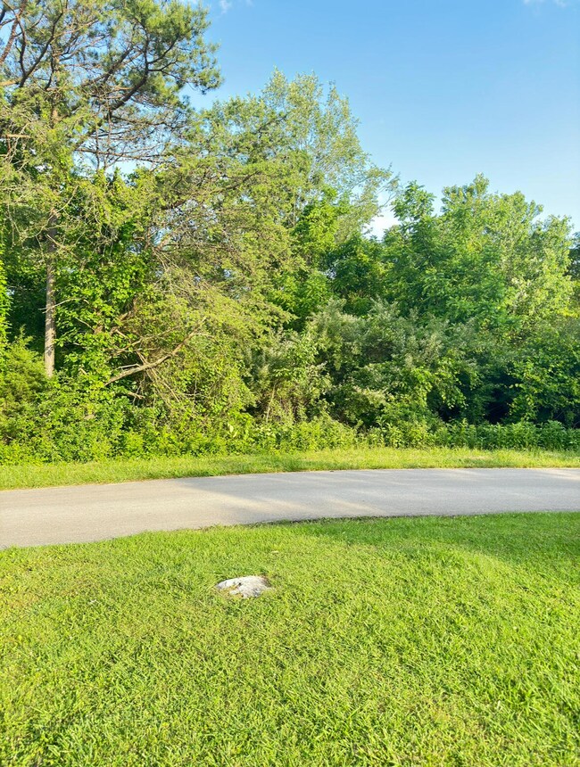 860 Stone Gate Dr, Burnside, KY 42519 - photo 3