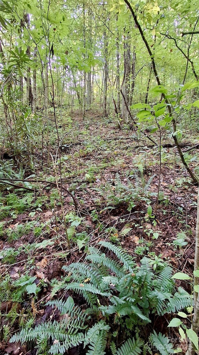 0 Cross Creek Cir, Sylva, NC 28779 - photo 3