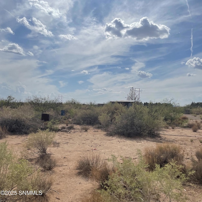 1770 Hatch Hwy, Deming, NM 88030 - photo 2