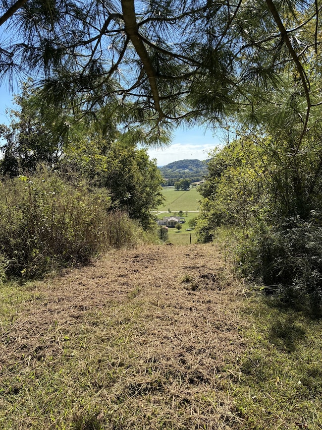 1915 Sedberry Rd, Thompson's Station, TN 37179 - photo 2