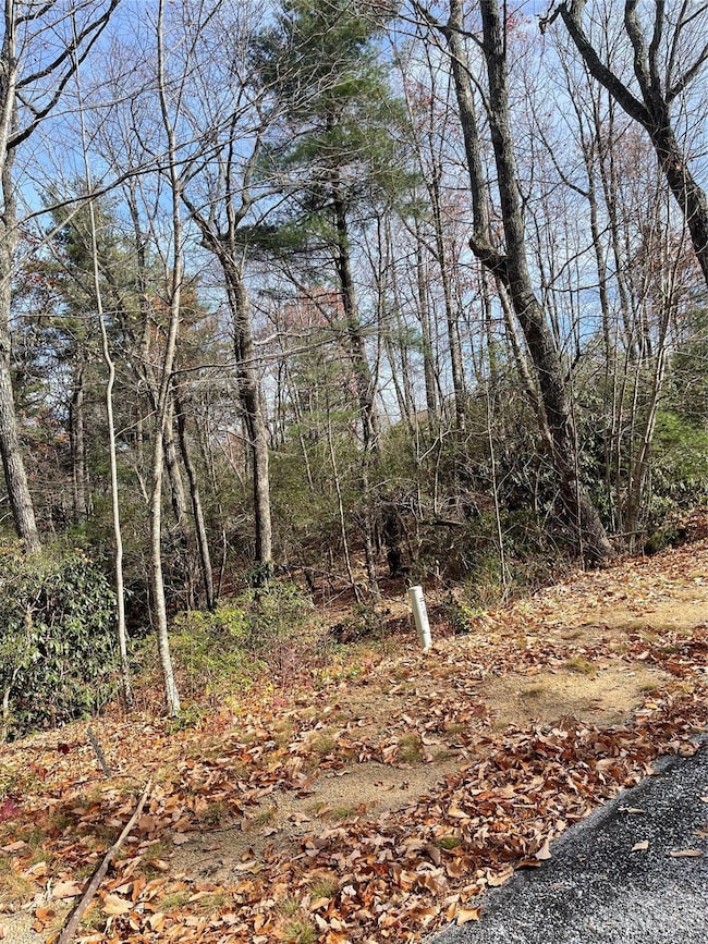 000 Eagle Ridge Rd, Zirconia, NC 28790 - photo 5