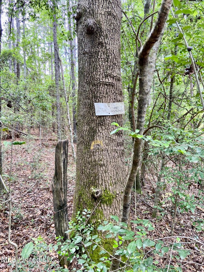 1 Basin Refuge Rd, Lucedale, MS 39452 - photo 4