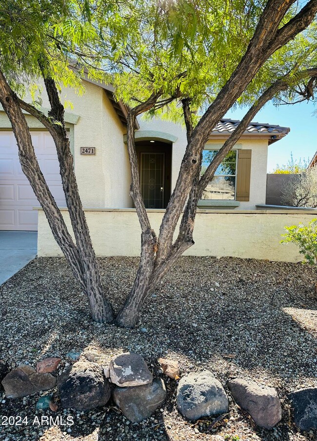 Front Tree