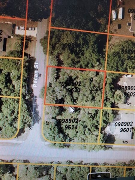 0 Pecan St unit N6108617, North Port, FL 34287 - photo 4