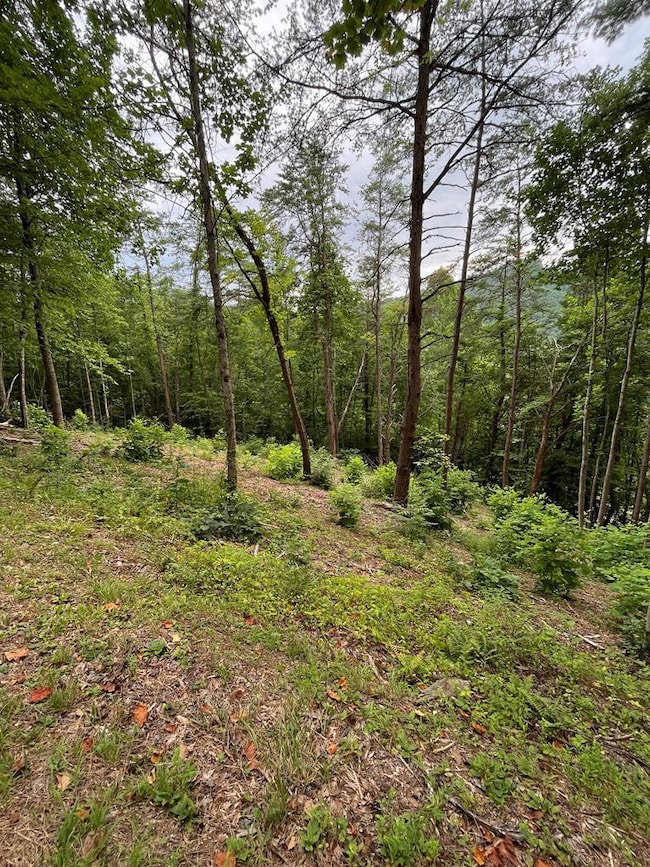 00 Jacobs Mountain Rd, Franklin, NC 28734 - photo 3