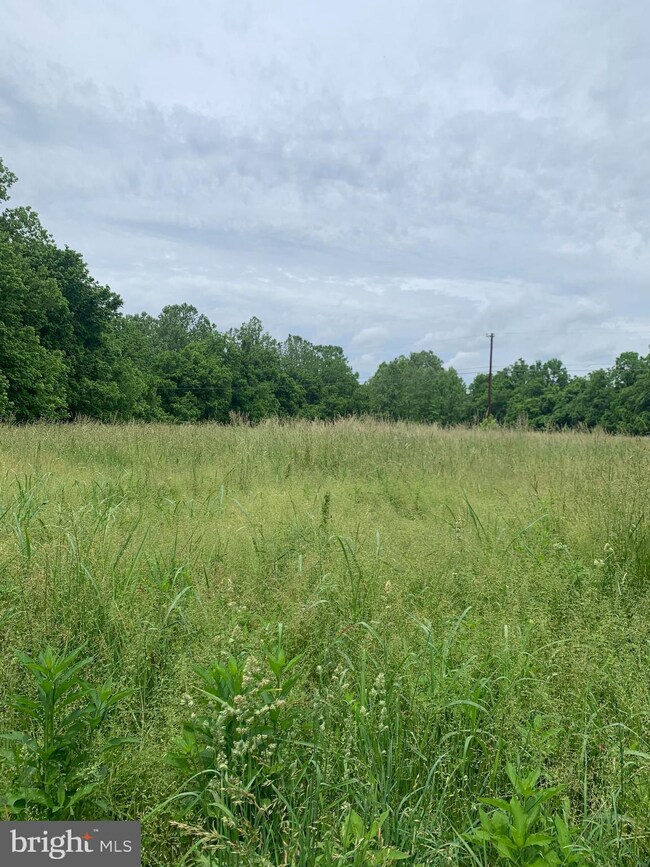 0 Reliance unit VAWR143816, Front Royal, VA 22630 - photo 3