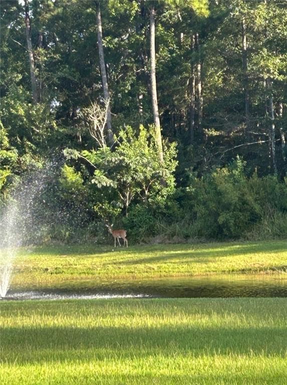 Deer are frequently sighted