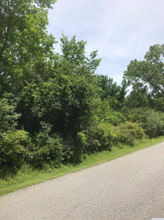 49 - QQ Brom Bones Ln, Sleepy Hollow Lake, NY 12015 - photo 6