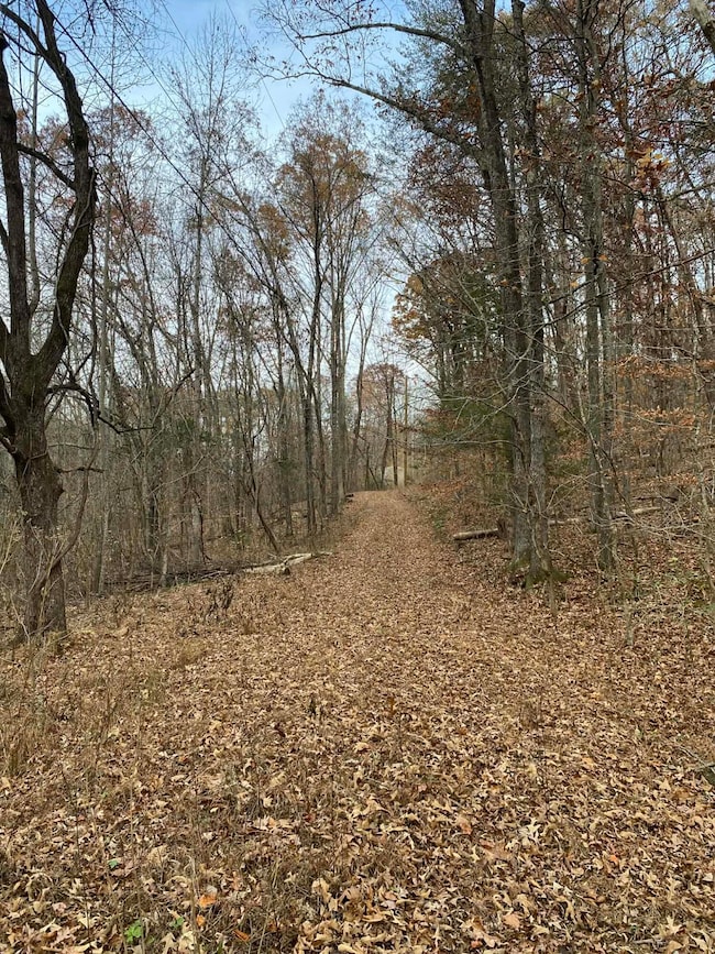 1929 Nichols Quarry Rd, Knoxville, TN 37920 - photo 2