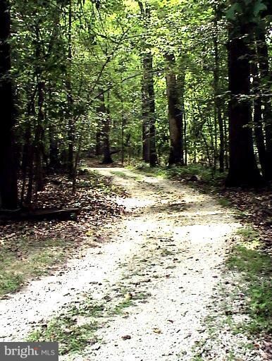 15631 Yeoho Rd, Sparks Glencoe, MD 21152 - photo 5