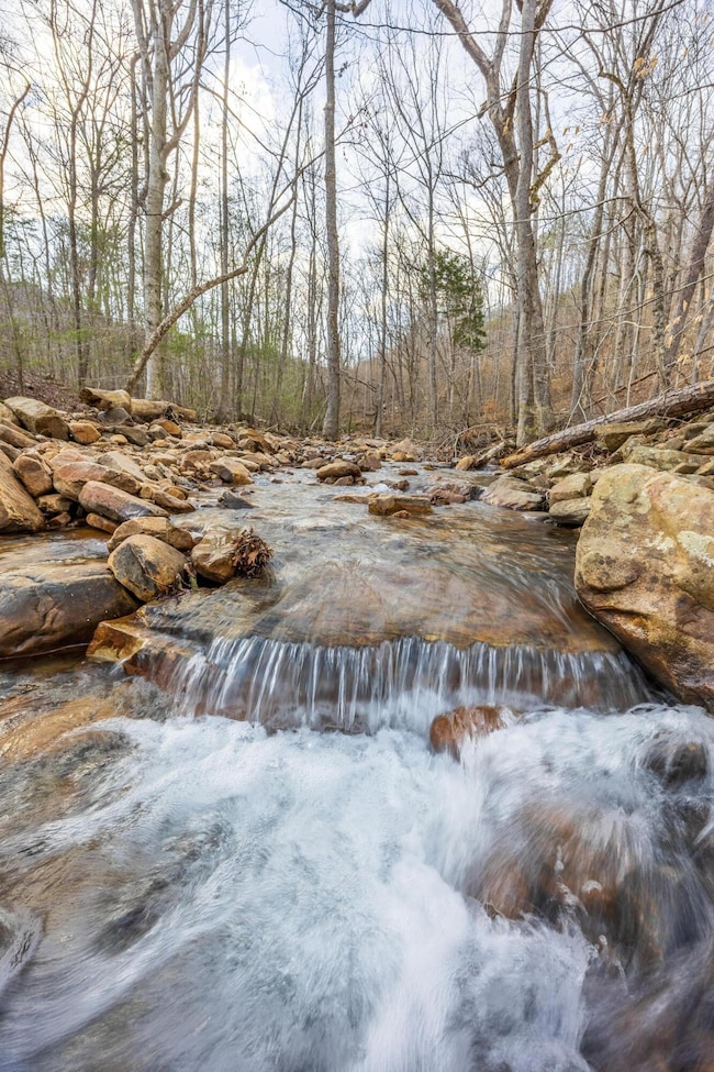 0 Lee Station Mountain Rd, Pikeville, TN 37367 - photo 4