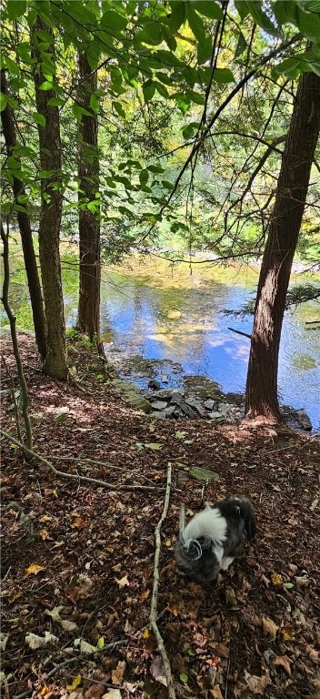 0 Lafayette Rd, Groton, NY 13073 - photo 3