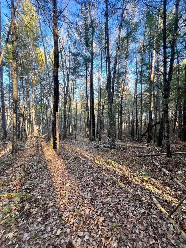 TBD County Road 427, Blackberry Township, MN 55744 - photo 5