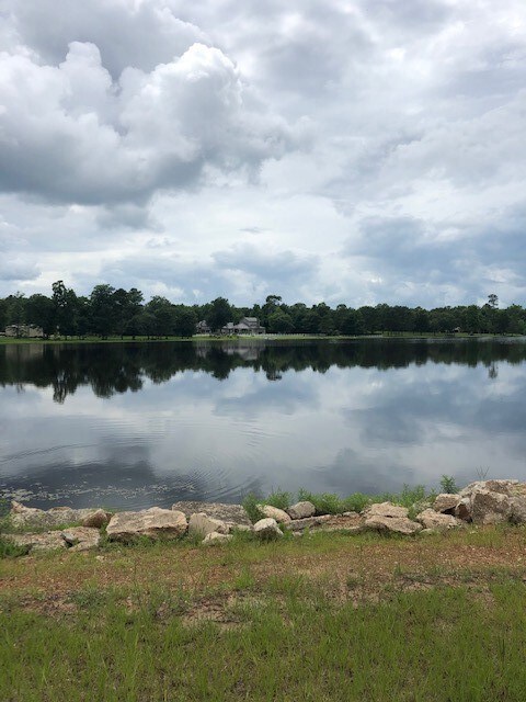 210 Fish Creek Thoroughfare, Montgomery, TX 77316 - photo 3