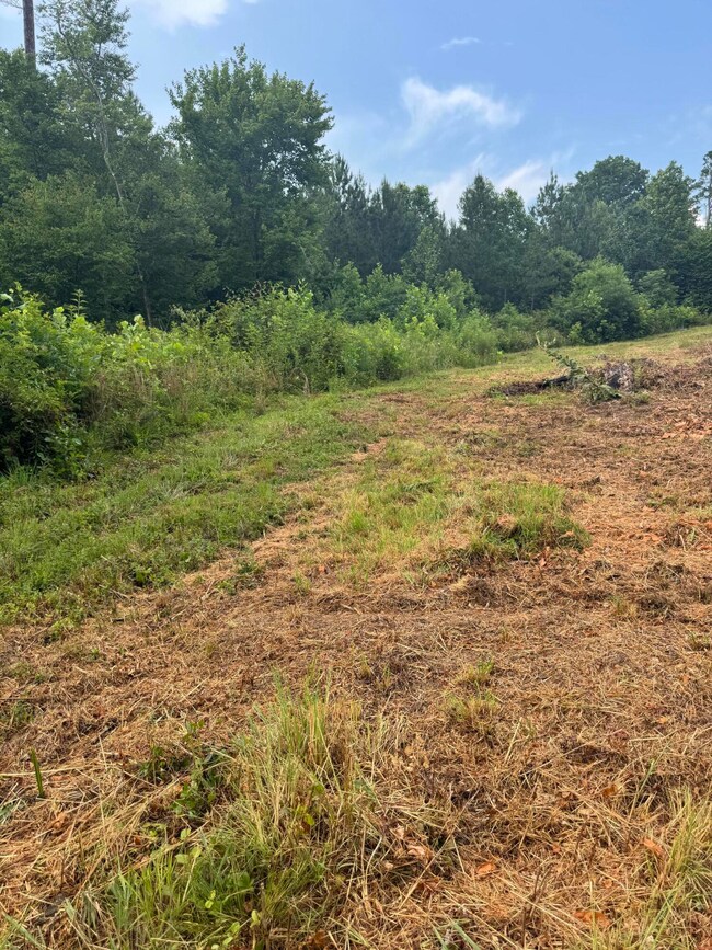 10597 Snow Creek Rd, Penhook, VA 24137 - photo 3