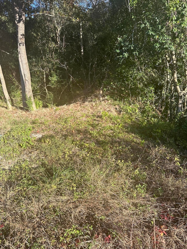 220 N Highway 52, Moncks Corner, SC 29461 - photo 2