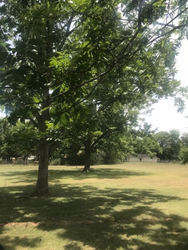 4377 Flowers Chapel Rd, Dothan, AL 36305 - photo 2