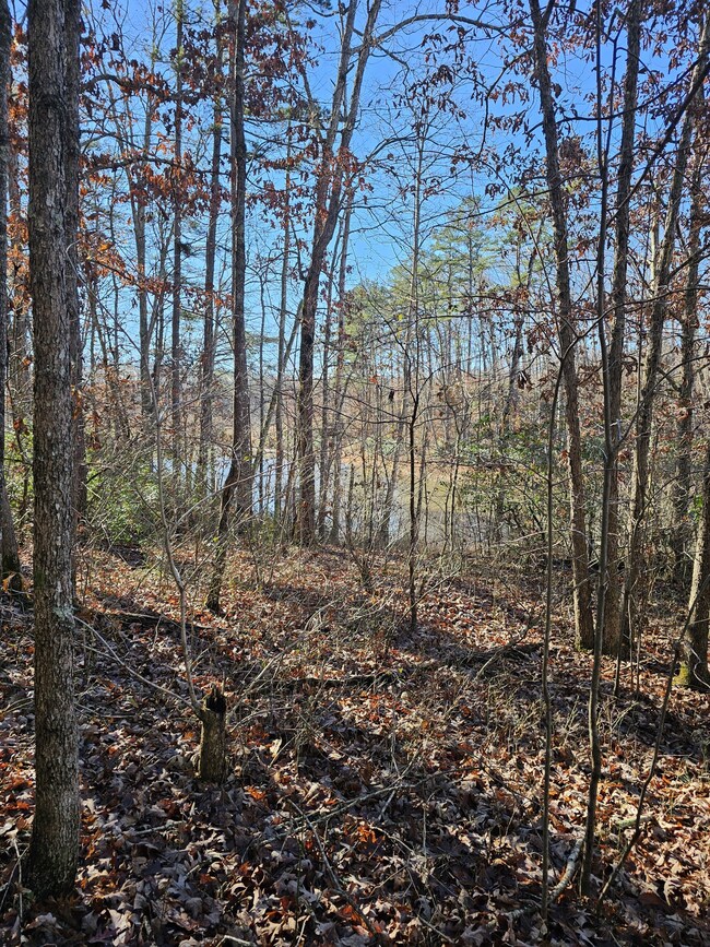 242 Ranger Creek Rd, Coalmont, TN 37313 - photo 6