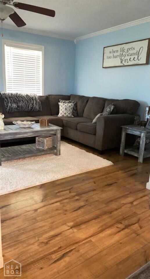 420 Lois Ln, Paragould, AR 72450 - photo 4