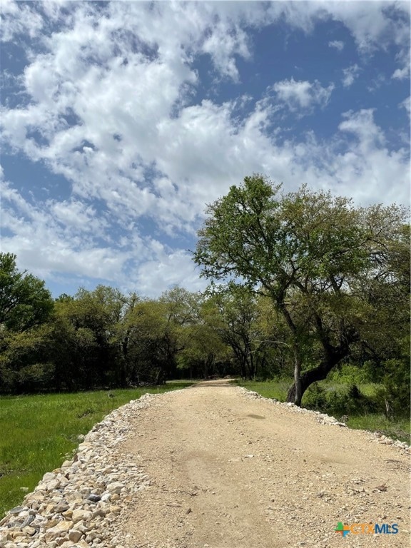 2887 Cr 255 - Family Compound, Georgetown, TX 78633 - photo 4