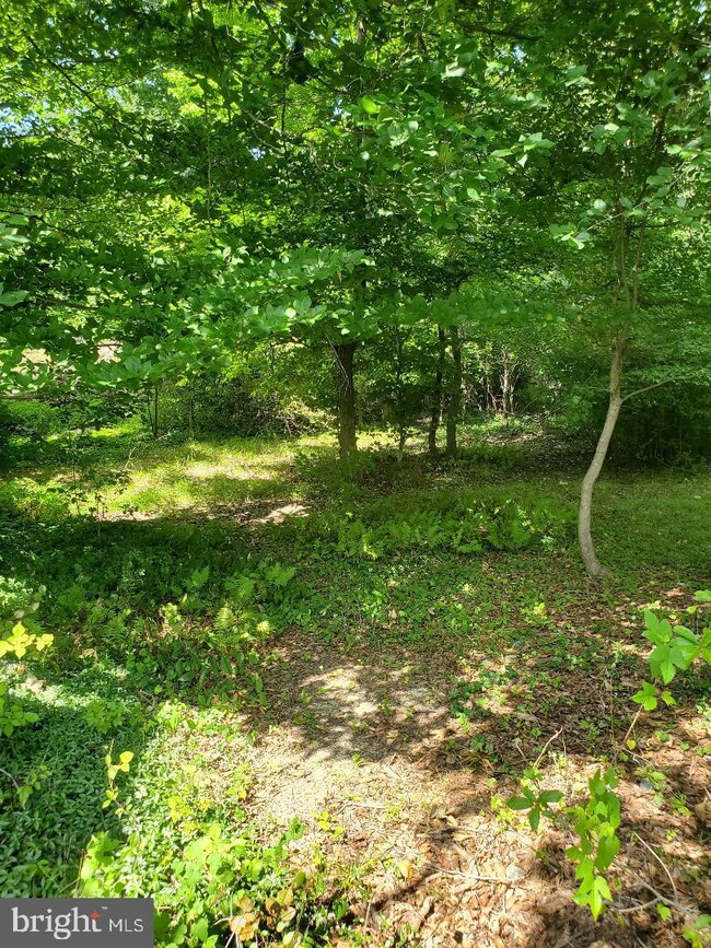 2311 Secane Rd, Secane, PA 19018 - photo 3