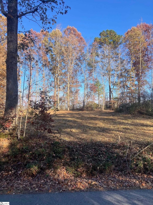 38 Coster Rd, Travelers Rest, SC 29690 - photo 7