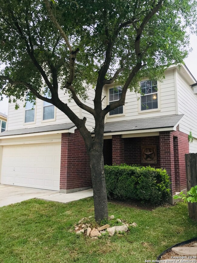 10259 Huisache Field, Helotes, TX 78023 - photo 2