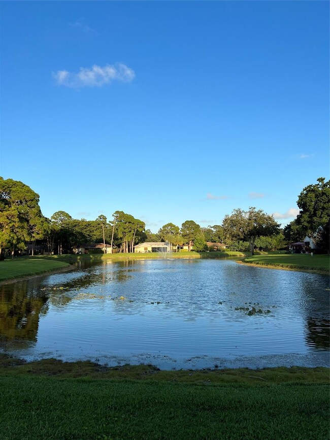 4170 Manor Forest Blvd, Boynton Beach, FL 33436 - photo 6